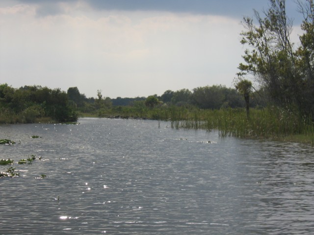 Original image