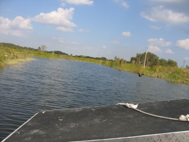 Original image