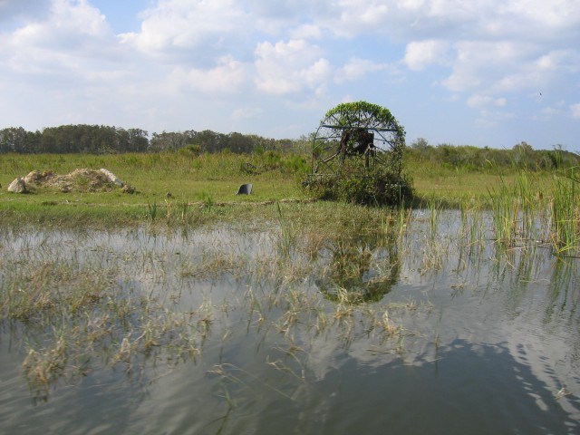 Original image