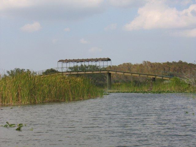 Original image