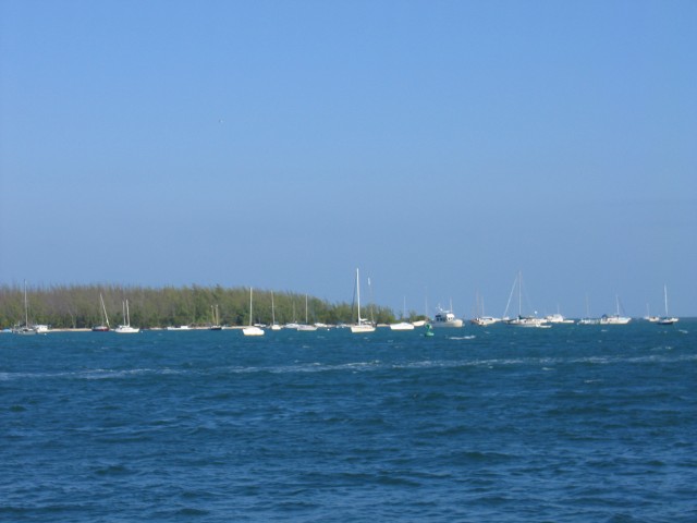 Original image