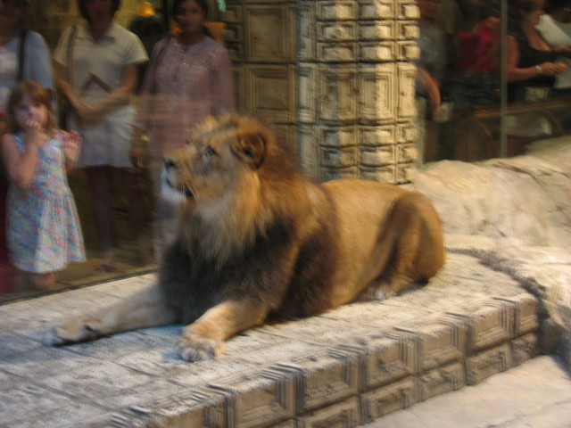 Original image