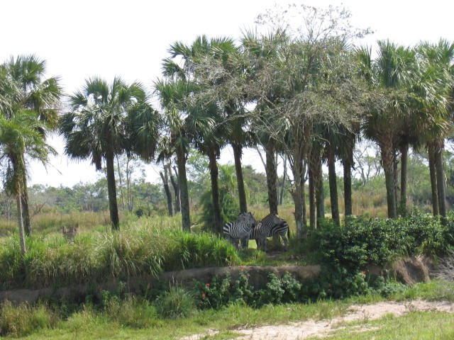 Original image