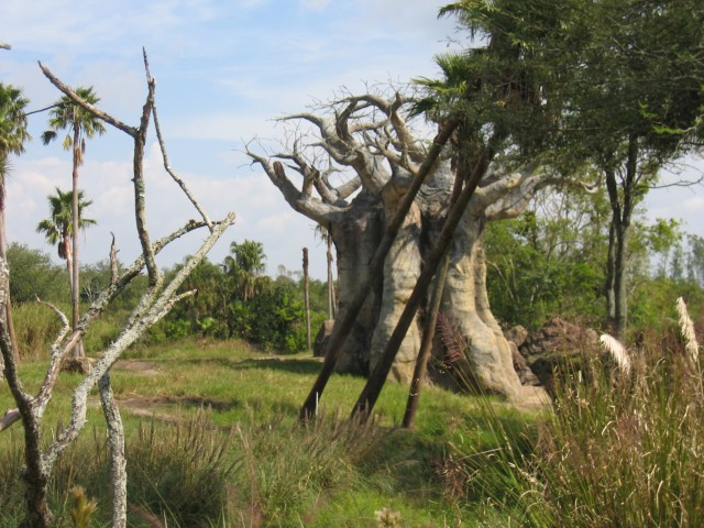 Original image